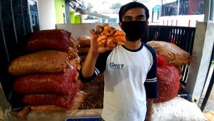 Kunyit Melejit di Masa Covid, Dipercaya Berkhasiat untuk ini