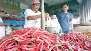Harga Cabai Merah Kembali Merangkak Naik