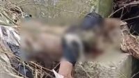 Ditemukan Mayat Lagi, Kali Ini di Bendungan Cipamingkis