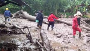 Selama Kawasan Puncak Masih Gundul, Niscaya Banjir Bandang Terulang Lagi