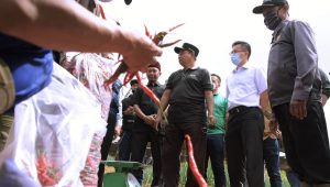 Kang Uu Dukung Pengembangan Agrowisata di Sukabumi Utara, Ini Penjelasannya