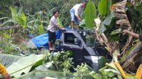 Mobil Penjual Tahu Bulat Nyungsep di Kebun Pisang, Penyebabnya Bikin Sedih ?