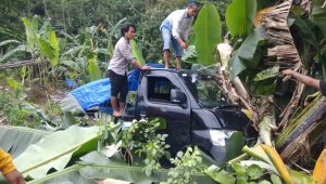 Mobil Penjual Tahu Bulat Nyungsep di Kebun Pisang, Penyebabnya Bikin Sedih ?
