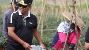 Wagub Uu : Pelantikan Bupati Terpilih Tanggal 17 Februari, Kecuali…