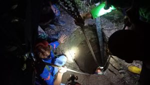 Kerbau di Palabuhanratu Nyemplung ke Sumur Tua, Ini Penyebabnya