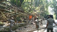 Lapak Pedagang Duren Cikakak Dibongkar Satpol PP, Ini Alasannya