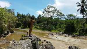 Sudah Tiga Musim Sawah di Cikembar Kering, Camatnya Lakukan ini
