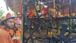 Kandangnya Terbakar, 600 Ekor Anak Ayam di Cikembar Sukabumi Gosong