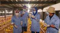 Sekolah Vokasi IPB Dirikan Teaching Factory untuk Wujudkan Pentahelix