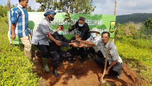 Peringati Hari Bhakti Rimbawan, PKSM Hijaukan Waluran dengan Tanam Pohon
