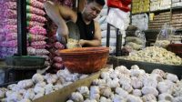 Setelah UU Ciptaker Diundangkan, RIPH Bawang Putih Masih Sulit