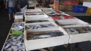 Masuk Ramadan, Pedagang Ikan di TPI Palabuhrantu Malah Lesu, Ini Sebabnya