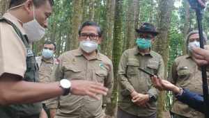 KLHK Tinjau Pembangunan Konservasi Elang Jawa, Ini Hasilnya