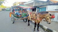 Ngabuburit, Jasa Delman Laris Manis