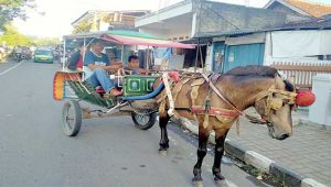 Ngabuburit, Jasa Delman Laris Manis
