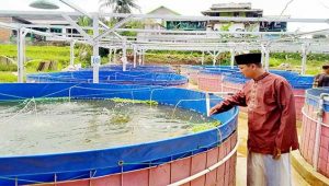 Mengenal Ponpes Al-Muslim Lembursitu, Latih Santri Berdaya Saing