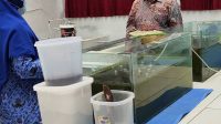Komisi V DPRD Jawa Barat Dukung Pengembangan SMKN I Pertanian Sebagai Sekolah Berbasis Agro