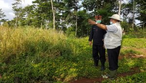 400 Hektare Lahan Kritis di Kabupaten Sukaubumi Berpotensi Akibatkan Bencana Alam