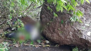 Batu Besar Timpa Pengendara Akibat Gempa Bumi di Malang