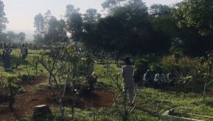 Melihat Tradisi Ziarah Kubur di Hari Pertama Lebaran