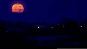 Catat Tanggal 26 Mei bakal Ada Super Blood Moon, fase gerhana tampak di lokasi ini