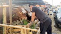Jelang Lebaran, DKP3 Kota Sukabumi Pastikan Stok Hewan Potong Aman