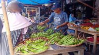 Harga Petai Kembali Normal