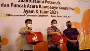 Ini Strategi Menko Airlangga Mendorong Ketahanan Pangan dan Kesejahteraan Petani