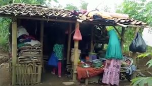 8 Jiwa Huni Gubuk Ukuran 3 x 4 meter persegi TPU Cikembang