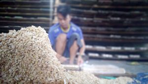 Harga Kedelai di Kota sukabumi Naik Tipis