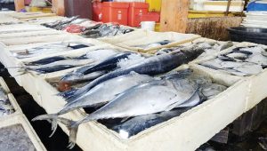 Bukan COVID-19, Tapi Cuaca Pengaruhi Penjualan Ikan di TPI Palabuhanratu
