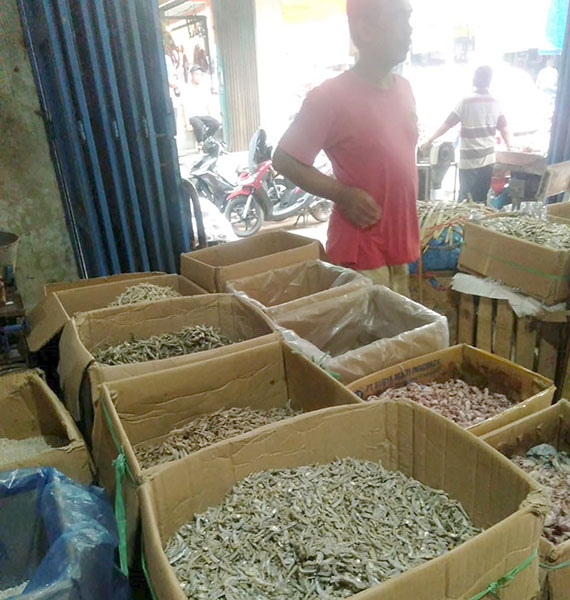 Pedagang Ikan Teri