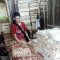 Penjual Telor Sukabumi