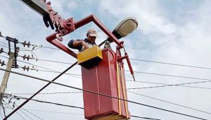90 Persen Gangguan Listrik di Sukabumi, Akibat Pohon