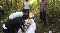 Pria Sukaraja Gantung Diri di Pohon Jambu, Polisi Bilang Begini