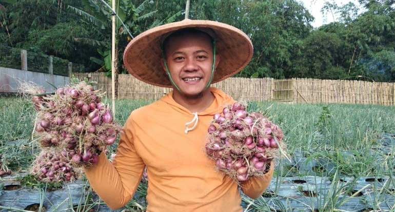Bawang Merah Sukabumi
