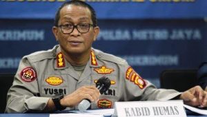 Beredar Ajakan Demo Jokowi Eng Game Besok, Polisi Bilang Begini
