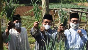 Baznas Kabupaten Sukabumi Gagas Gerakan Masjid Hijau