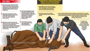 Kota Sukabumi Salat Id di Rumah Saja, Berkurban Boleh, Tapi…