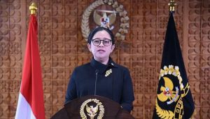 PPKM Darurat, Puan: Jangan panik Ya..