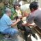 VAksin Rabies Sukabumi