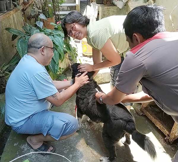 VAksin Rabies Sukabumi