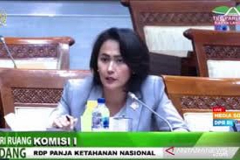 Komisi I DPR RI