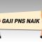 PNS