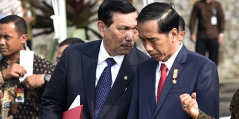 Luhut