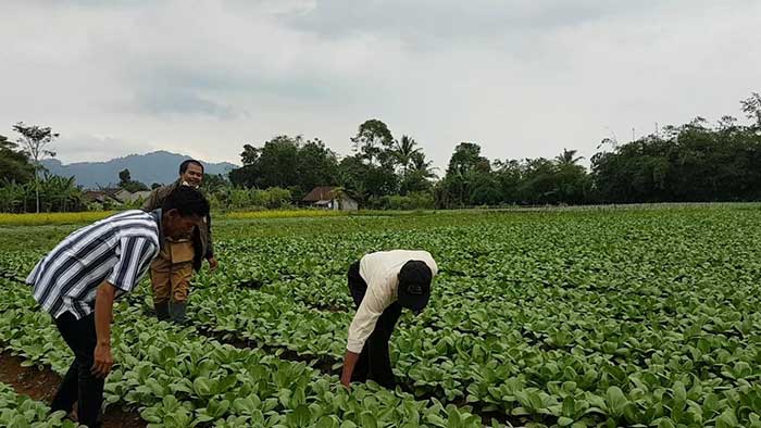 BPP Kecamatan Kebonpedes,