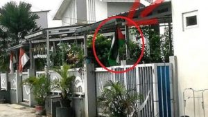 Warga Depok Kibarkan Bendera Palestina Jelang HUT Kemerdekaan RI, Polisi Turun Tangan
