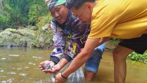 Hotel Bunga Ayu Tebar Benih Ikan