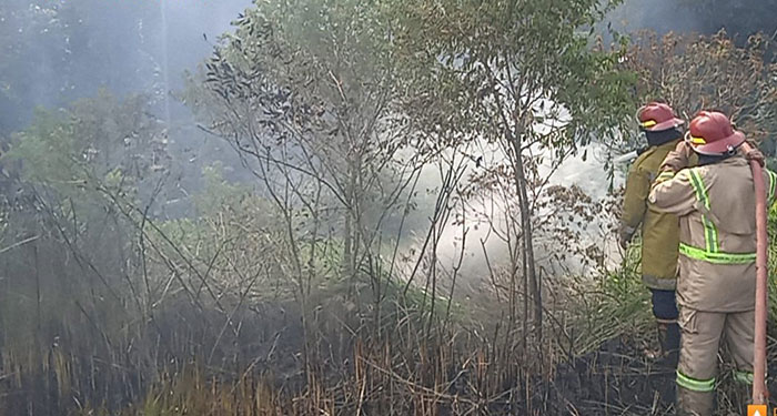 Kebakaran Nagrak Sukabumi
