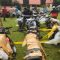 Motor Bodong